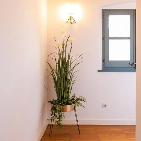 Bravissimo Raims Penthouse