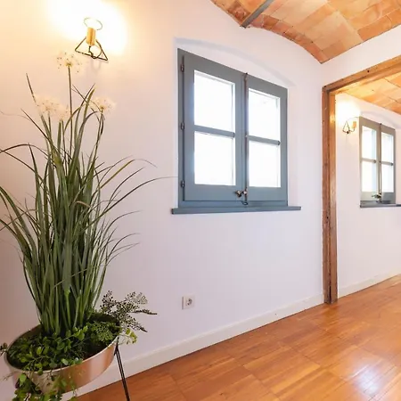 Apartment Bravissimo Raims Penthouse