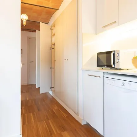 Bravissimo Raims Penthouse 아파트 지로나