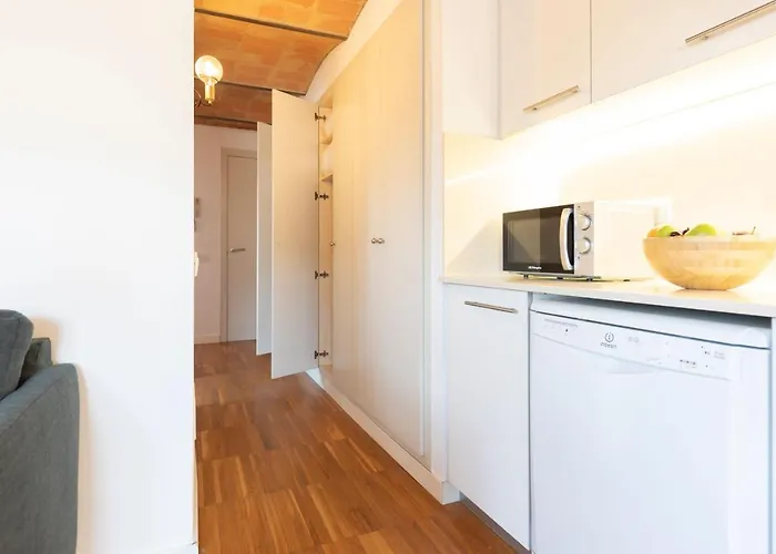 Bravissimo Raims Penthouse Apartment Girona